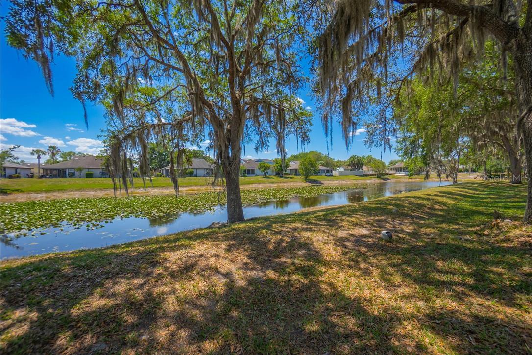 127 N Golf Harbor Path, Inverness Fl 34450 Property Photo 2