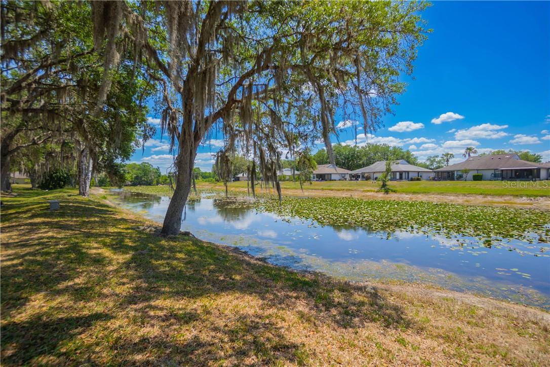 127 N Golf Harbor Path, Inverness Fl 34450 Property Photo 35