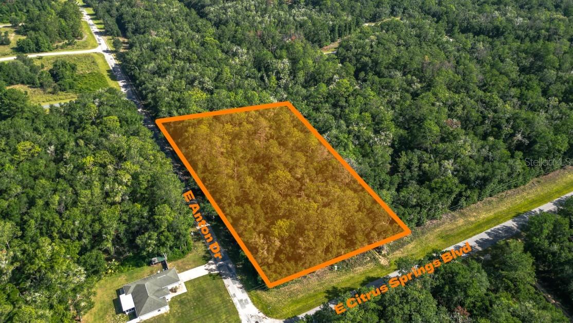 825 E Anton Dr, Citrussprings Fl 34434 Property Photo