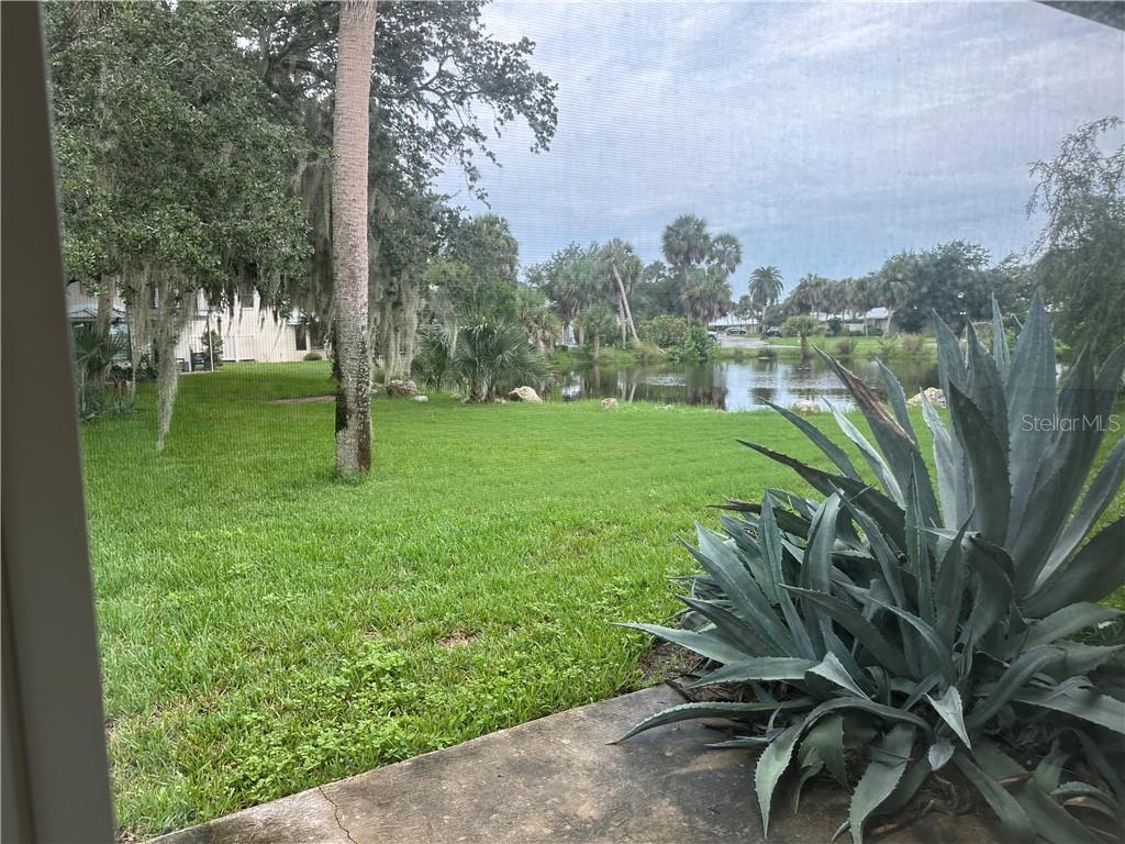 CC856786 Property Photo 6