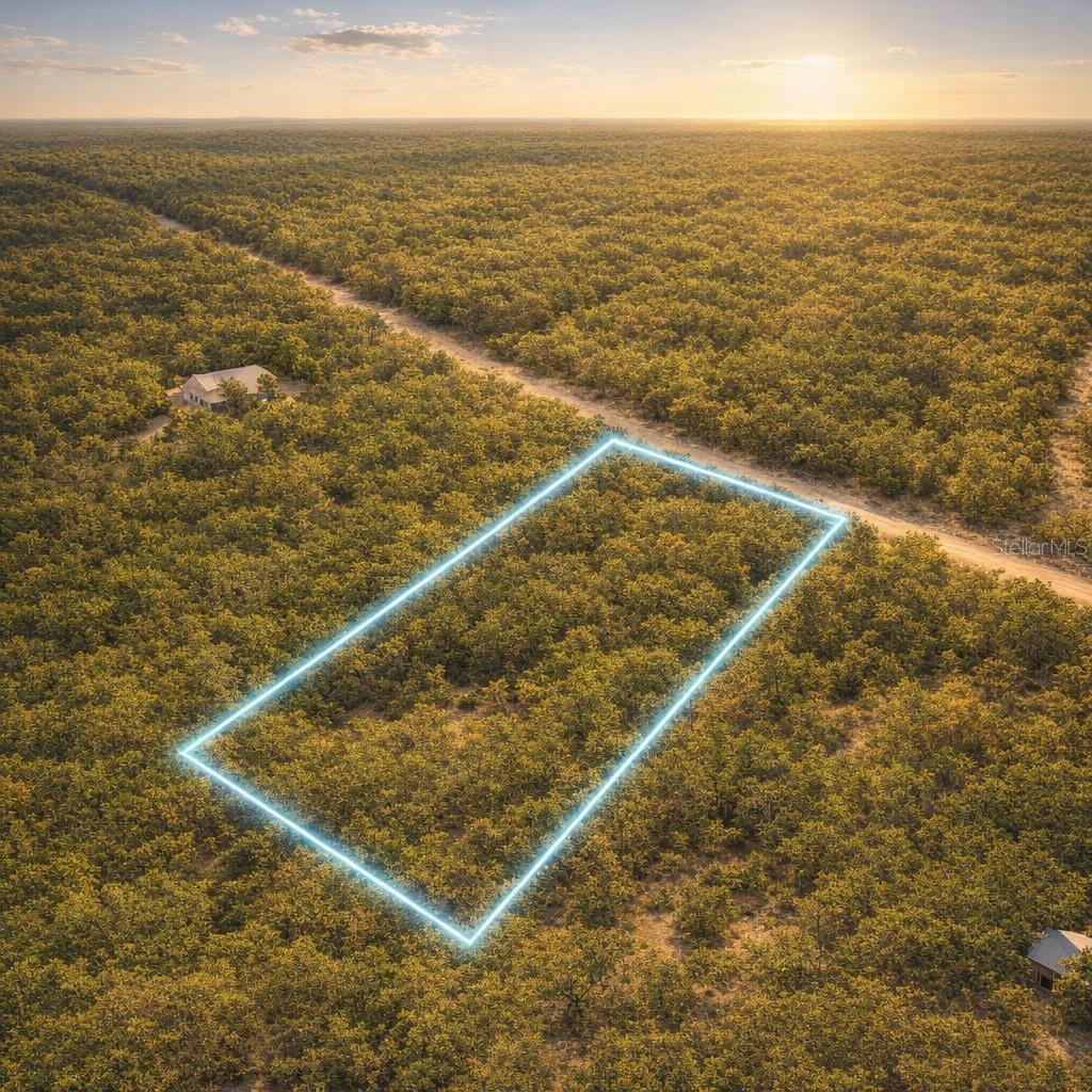 0 Key Deer Ct, Perry Fl 32348 Property Photo 4