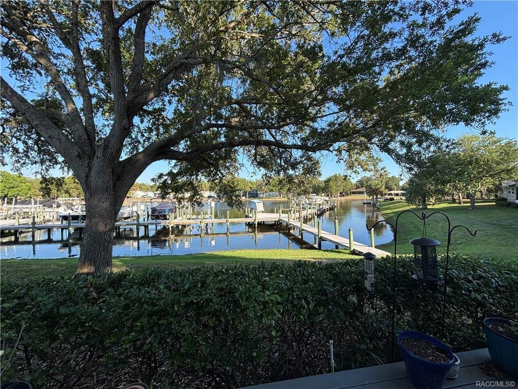 11014 W Cove Harbor Dr, Crystalriver Fl 34428 Property Photo 1