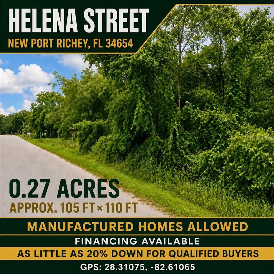 0 HELENA ST, NEWPORTRICHEY FL 34654 Property Photo 1