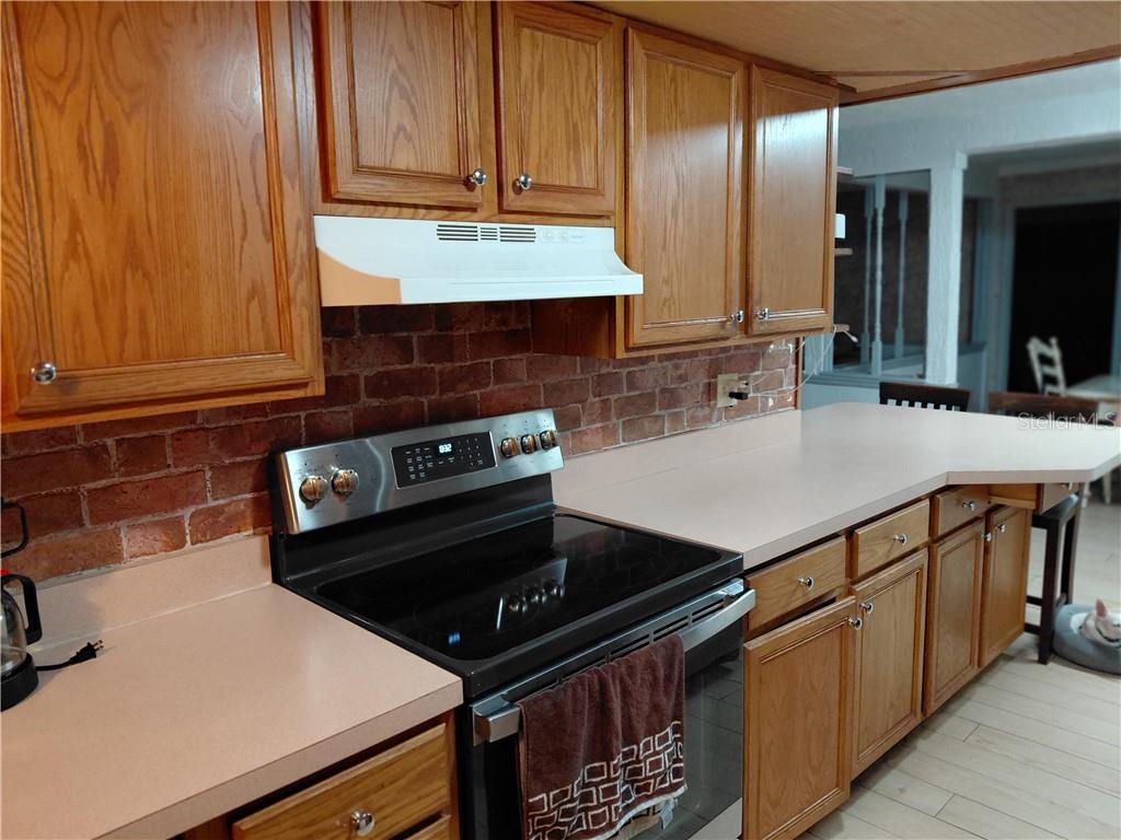 10119 E Bass Cir, Inverness Fl 34450 Property Photo 123