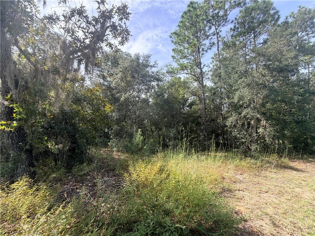 5066 E Anna Jo DR, INVERNESS FL 34452 Property Photo 1