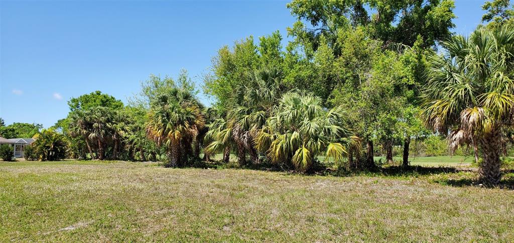 69 Long Meadow Place Property Photo 3
