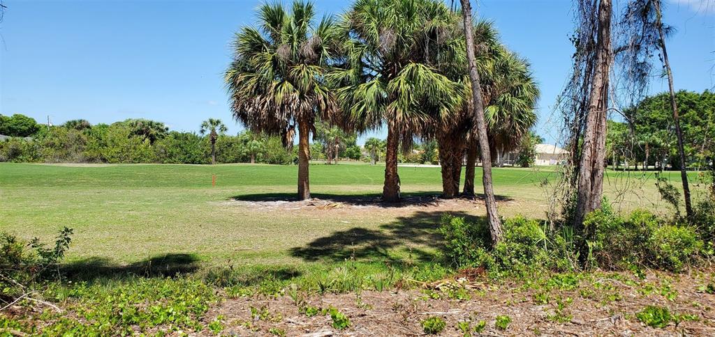 69 Long Meadow Place Property Photo 4