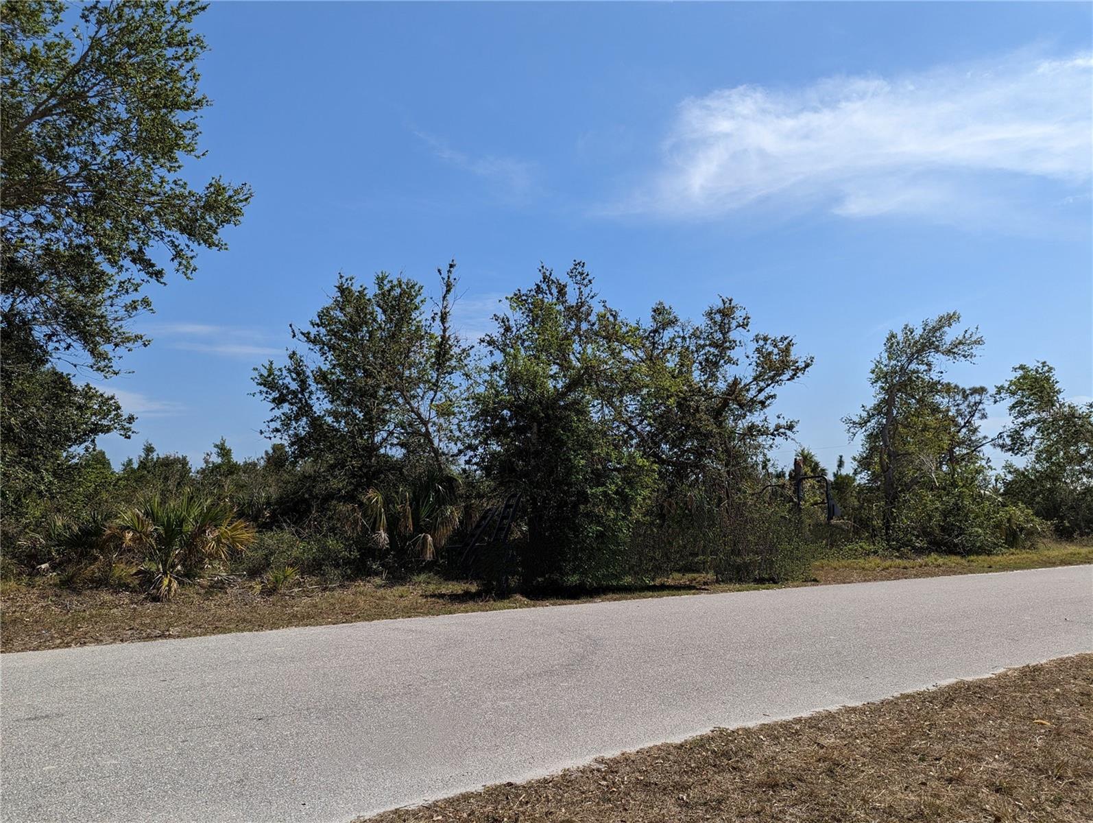9228 Ravel St Property Photo 3