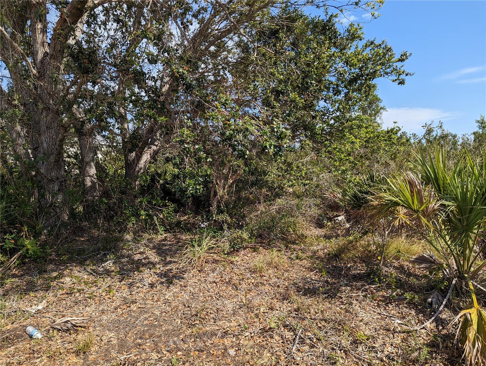 9228 Ravel St Property Photo 5