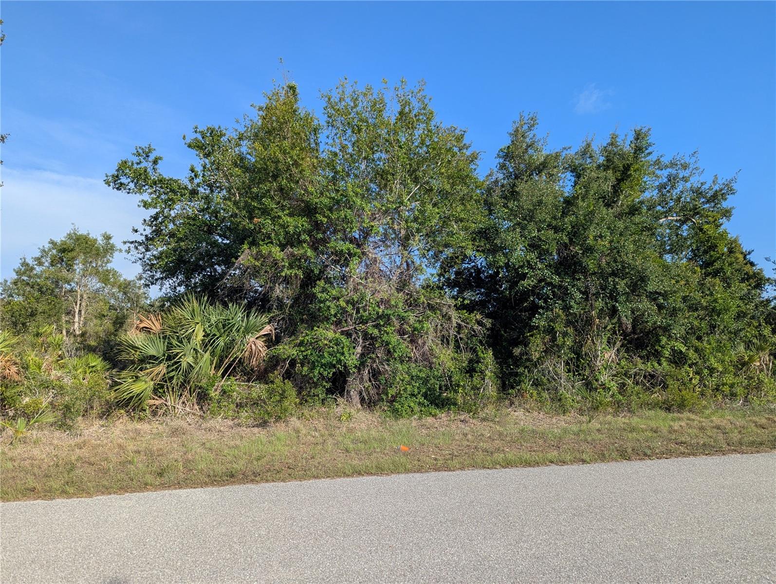 9228 Ravel St Property Photo 16