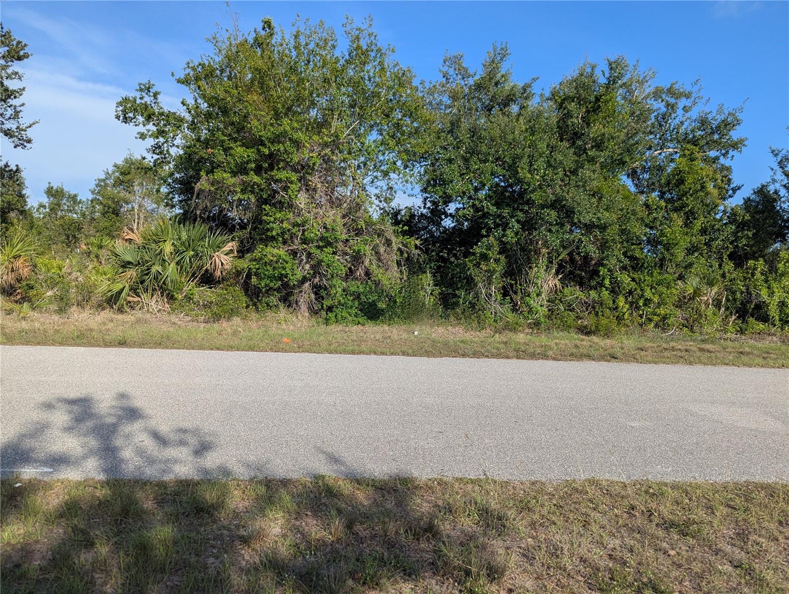9228 Ravel St Property Photo 19