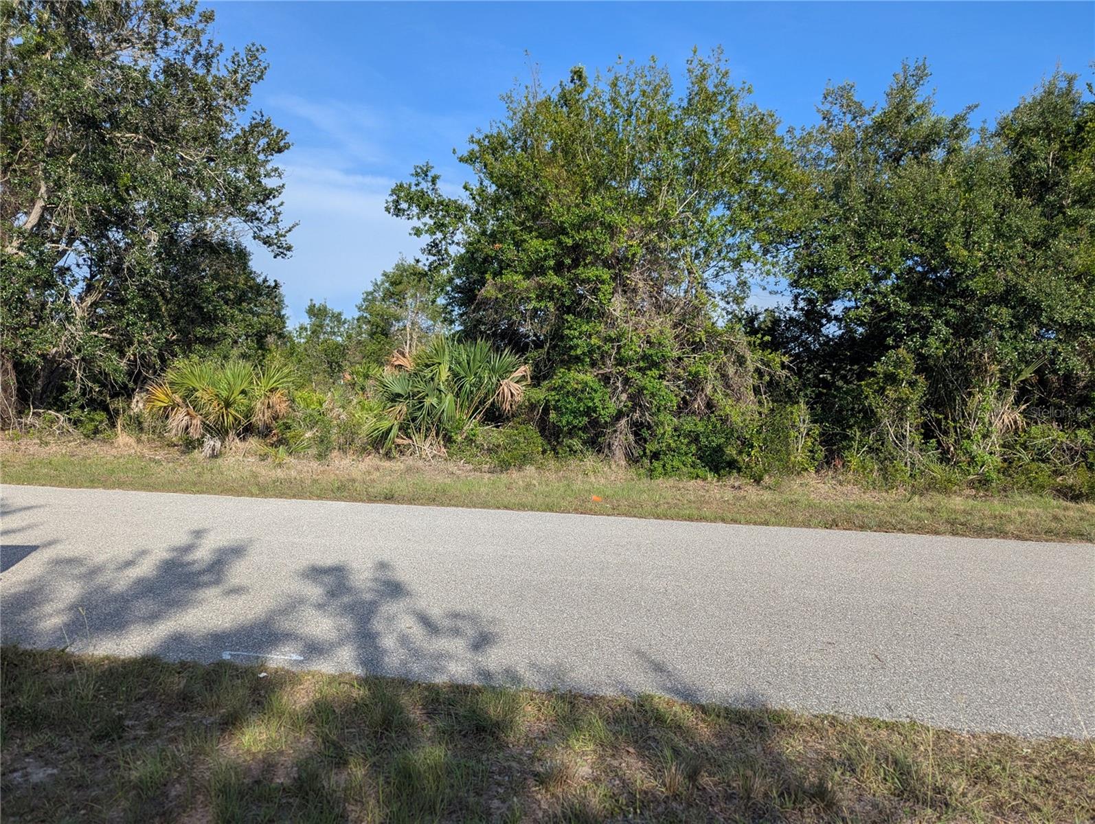 9228 Ravel St Property Photo 20