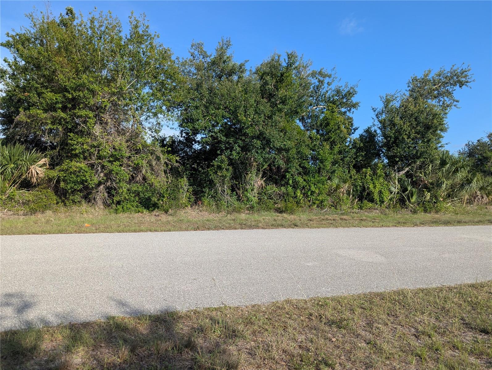 9228 Ravel St Property Photo 21