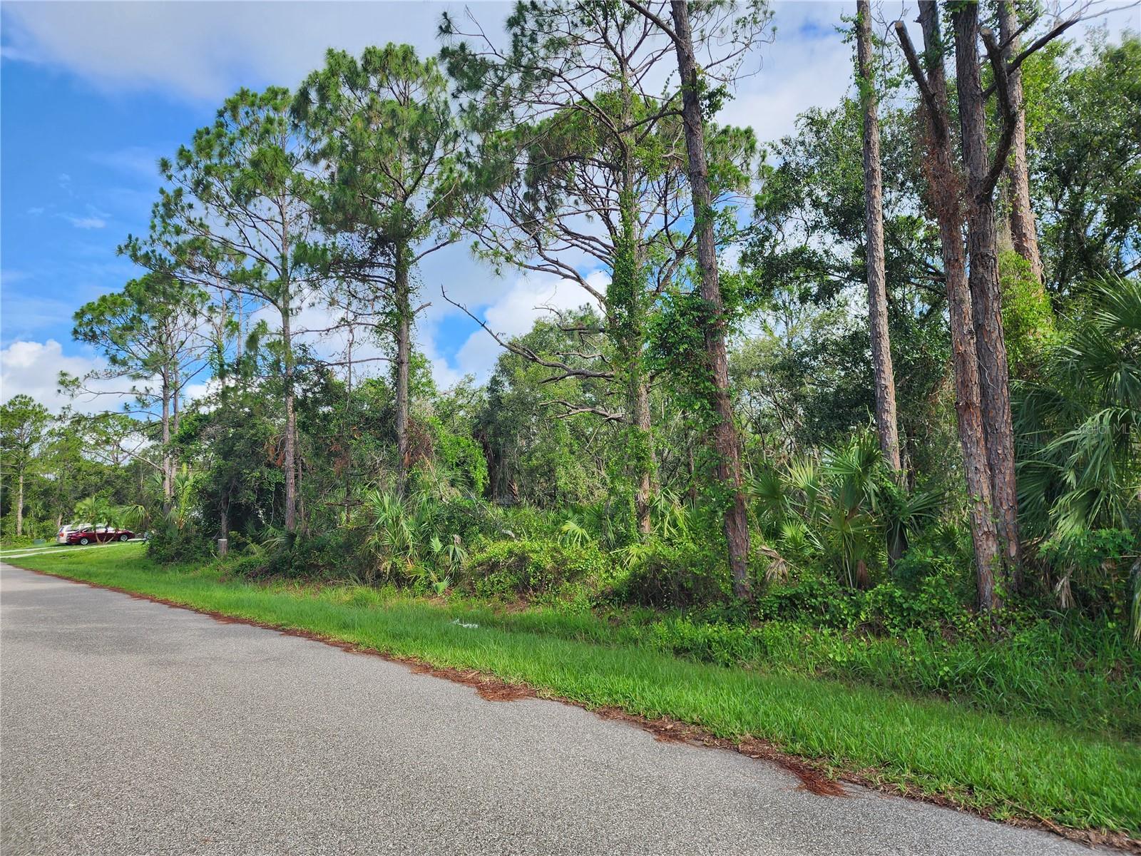 Lot 15 PALISADES AVENUE Property Photo 1