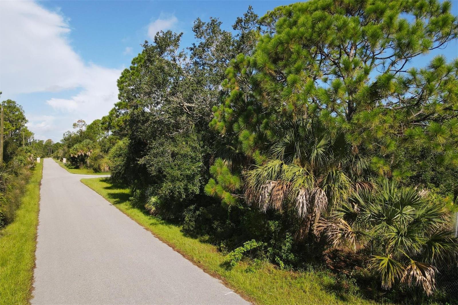 Lot # 19 Rentscher Ave Property Photo 7