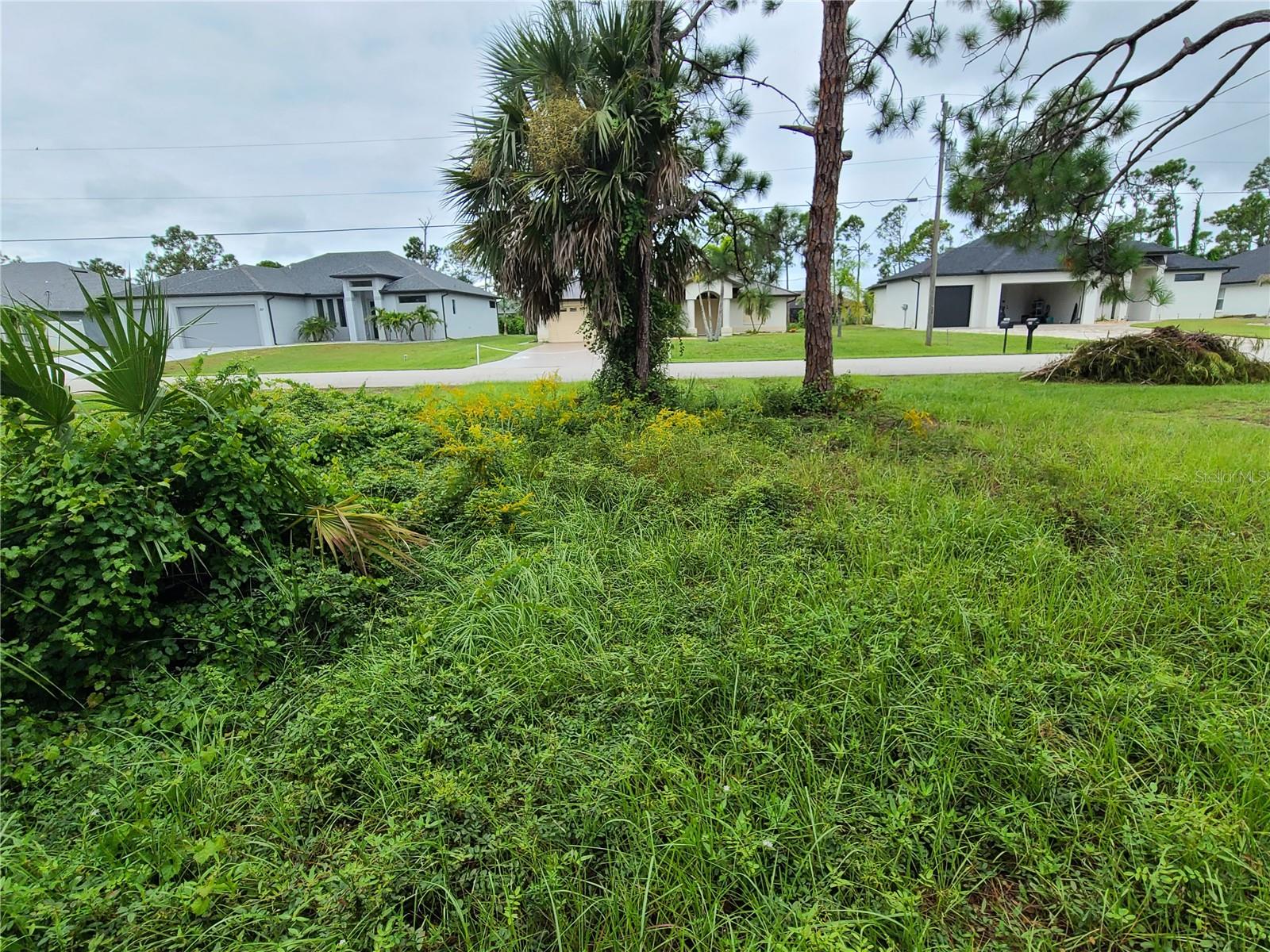 254 Long Meadow Ln Property Photo 3