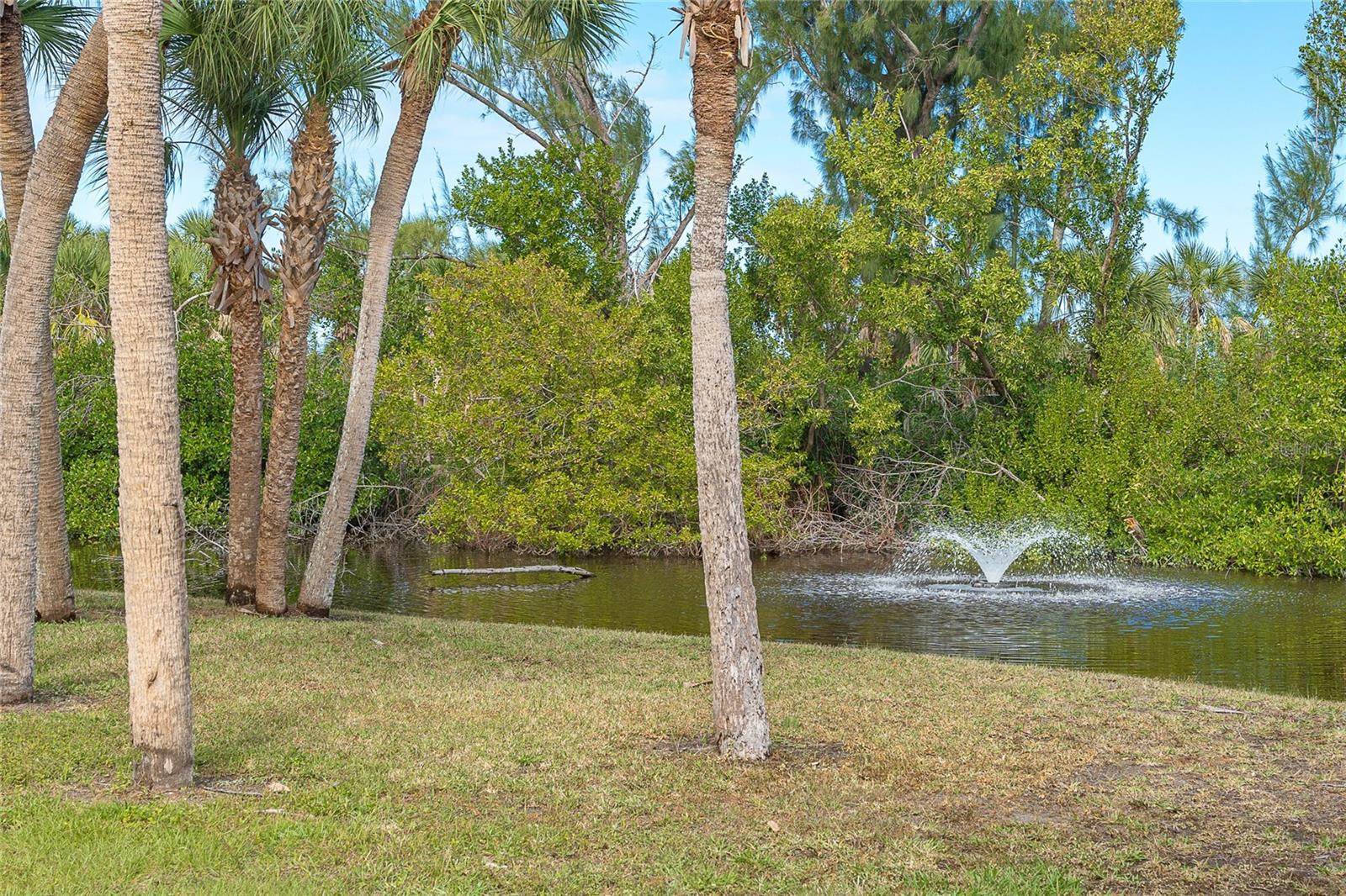 7536 Palm Island Dr S #1511 Property Photo 5