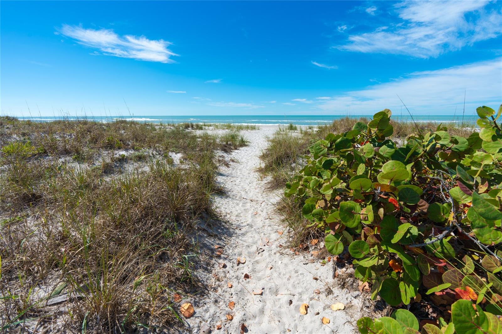 9542 Rum Runner Rd Property Photo 40