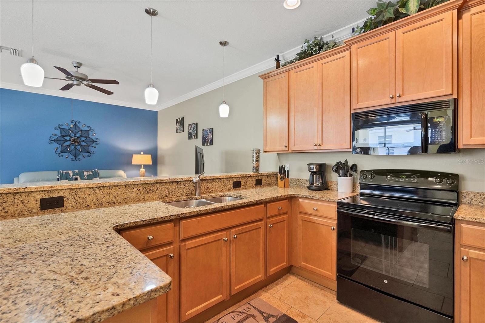 10767 Salvador Dali Cir Property Photo 11