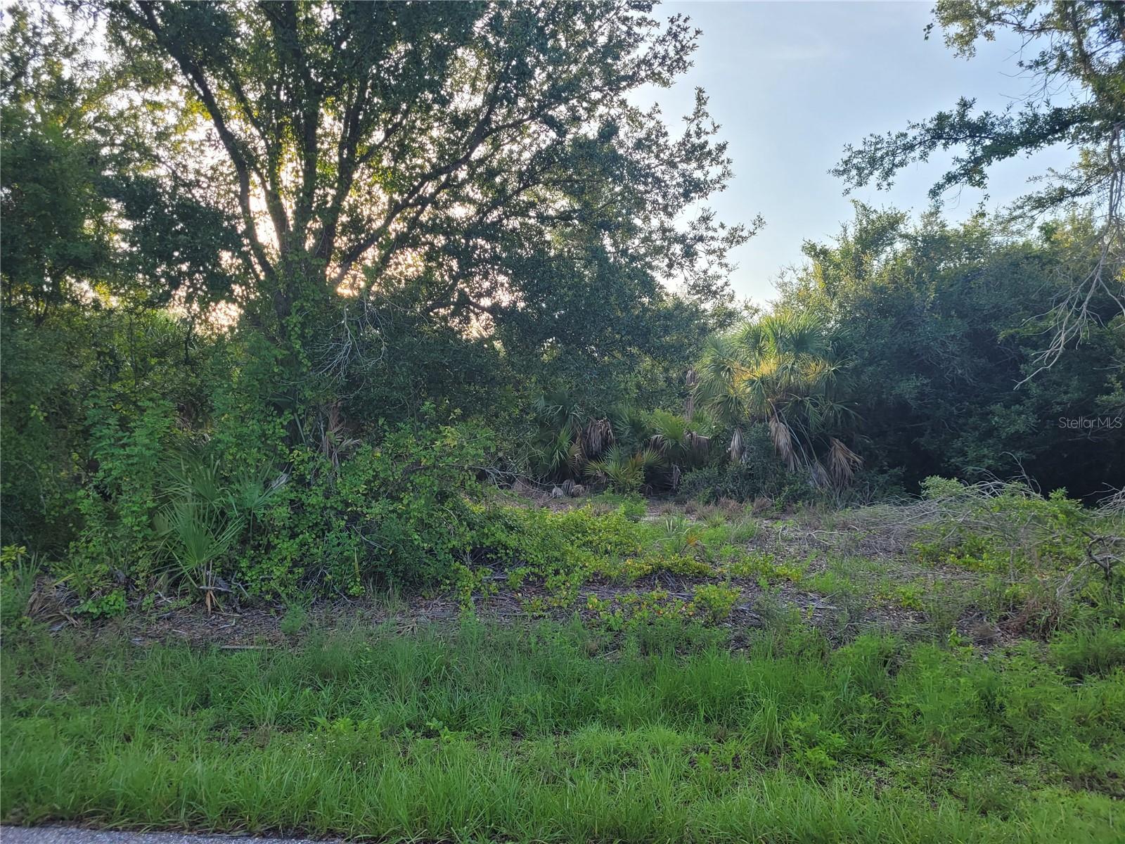 9653 & 9661 President Cir Property Photo 3
