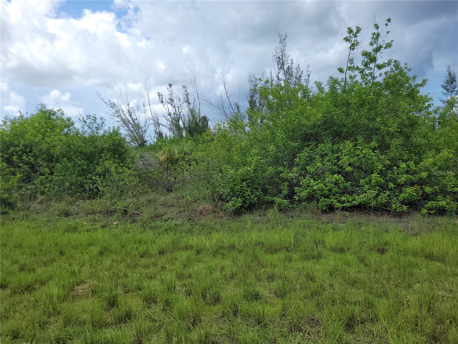10136 Amy Ter Property Photo 2