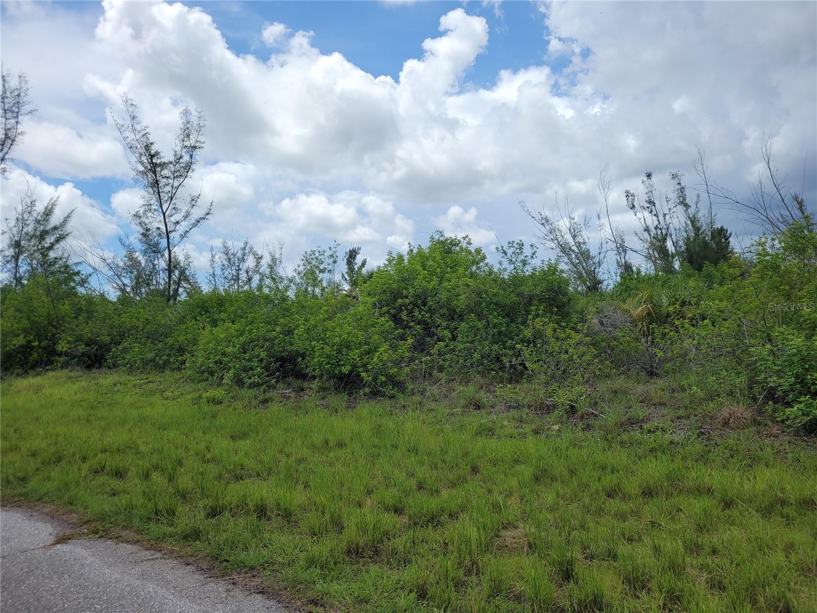 10136 Amy Ter Property Photo 3