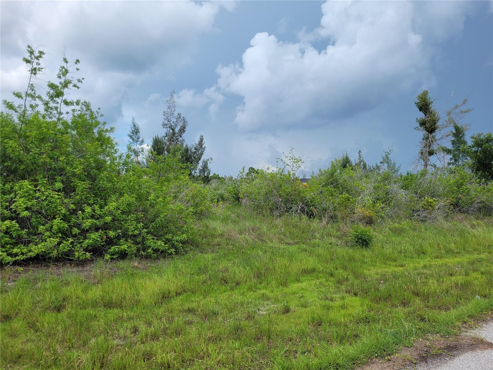 10136 Amy Ter Property Photo 4