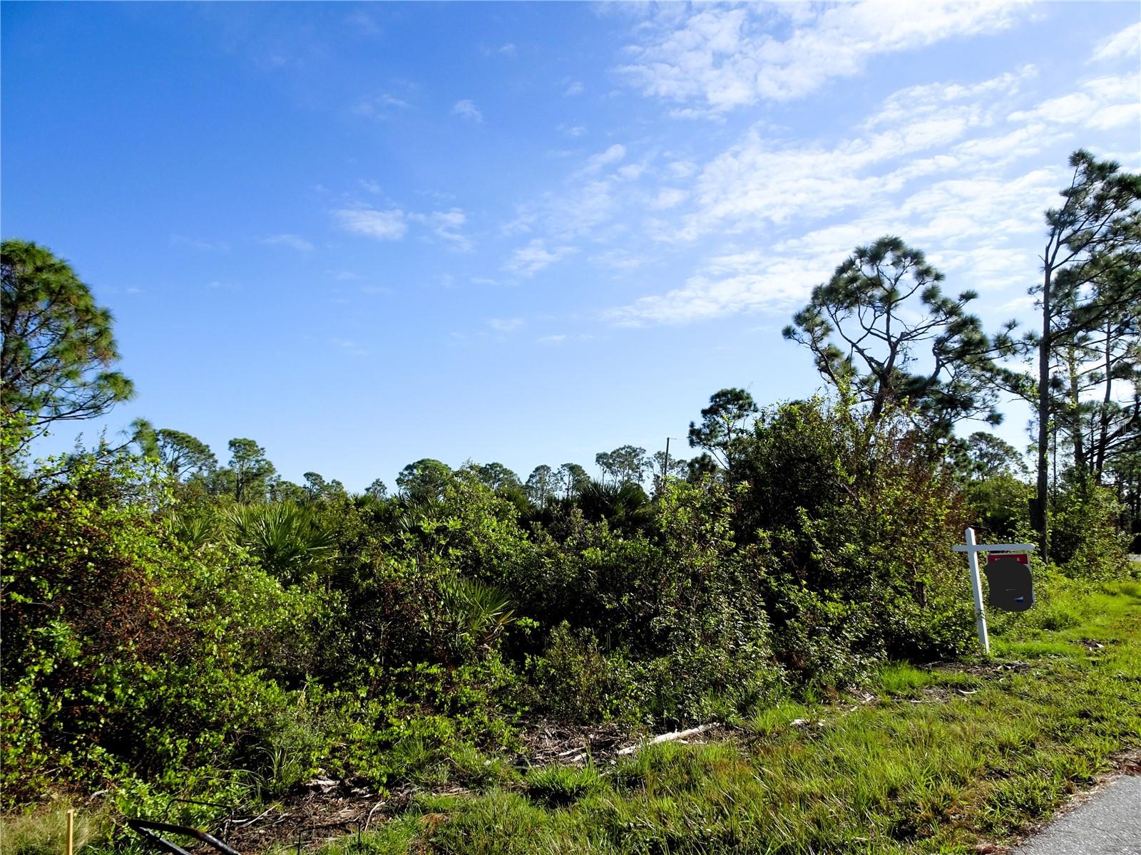 12242 Wagner Ln Property Photo 1