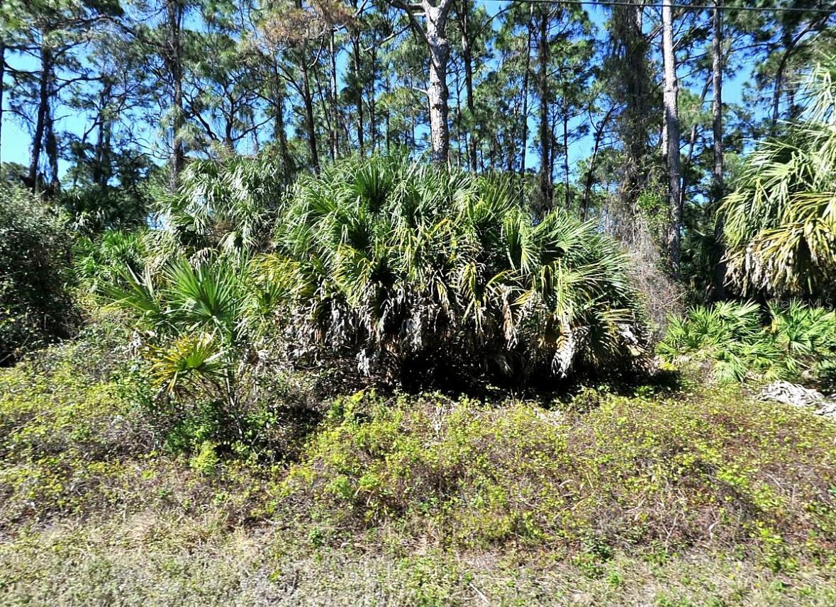Daphne Rd Property Photo 1