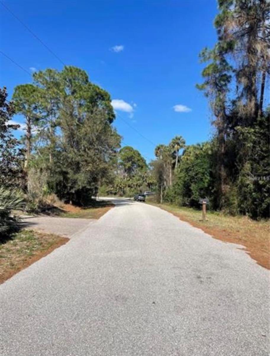 Daphne Rd Property Photo 2
