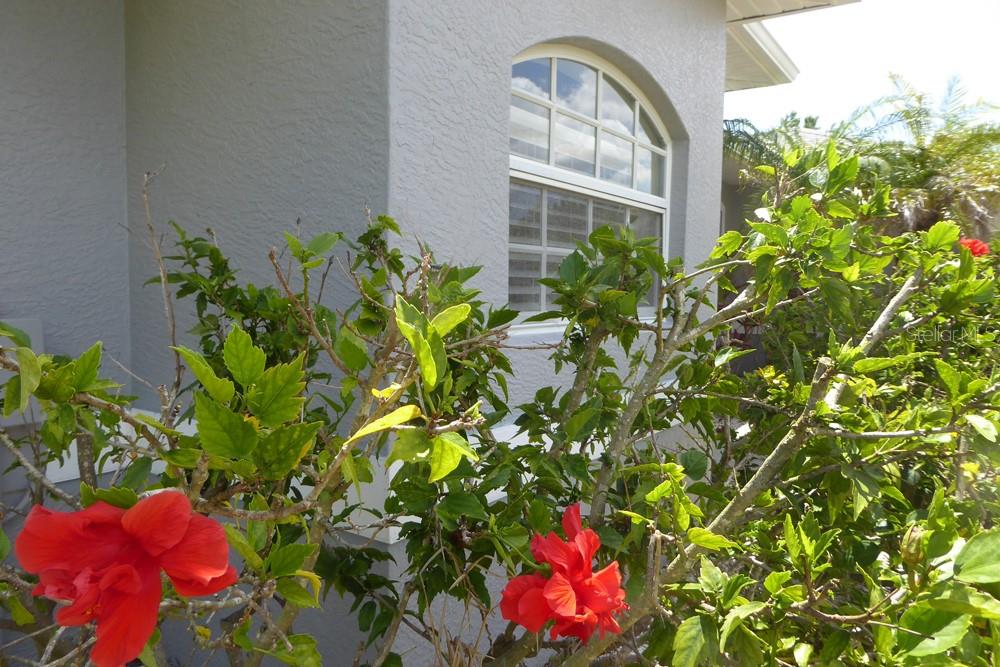 328 Baytree Dr Property Photo 4