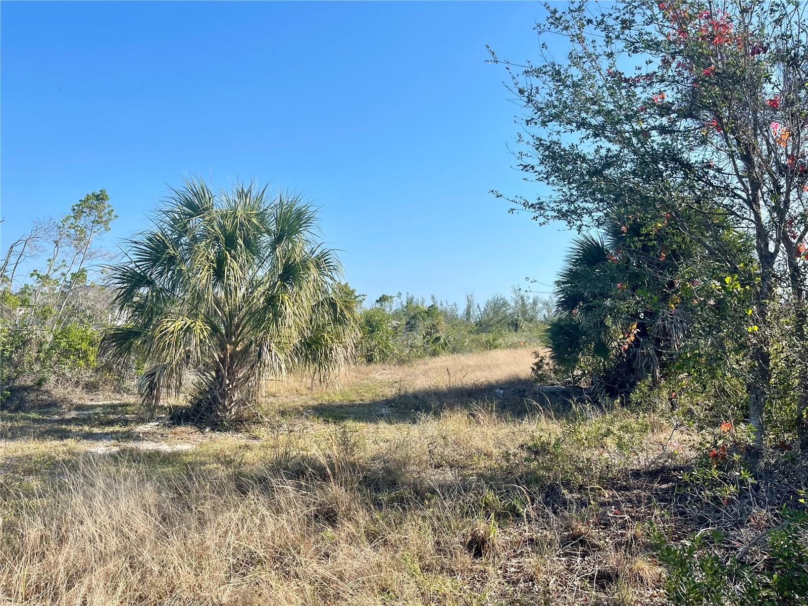 15594 Stuart Cir Property Photo 4