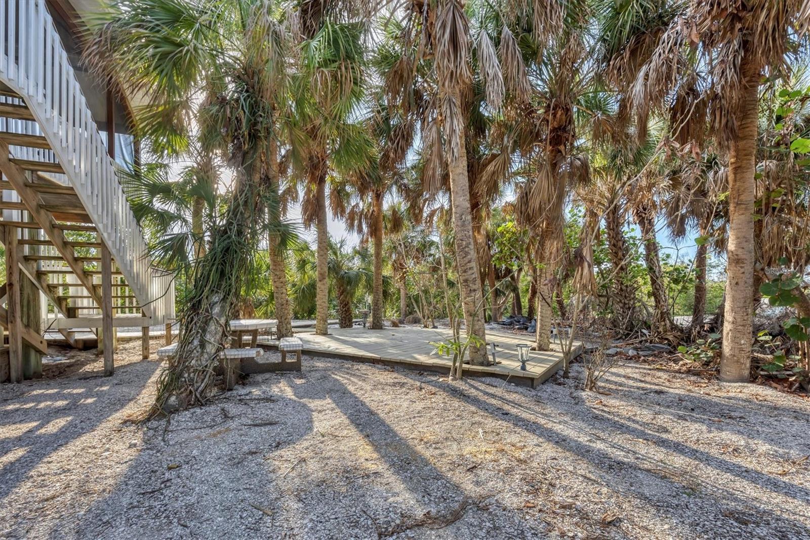 51 Palm Dr Property Photo 6