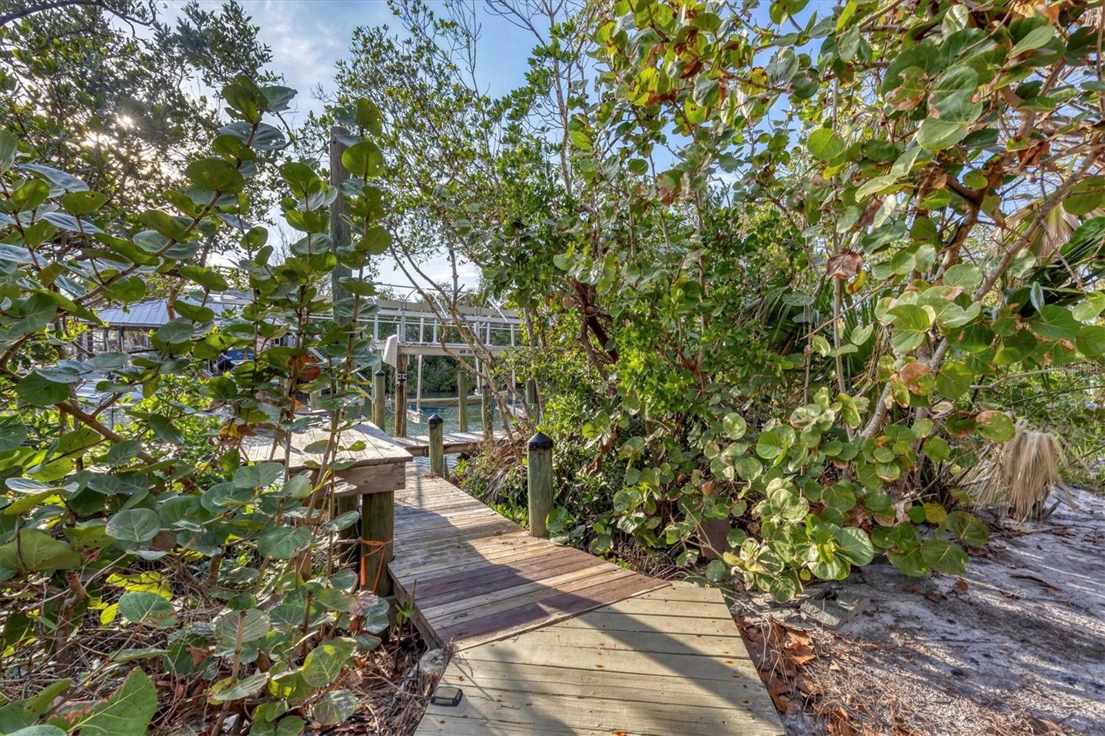 51 Palm Dr Property Photo 36