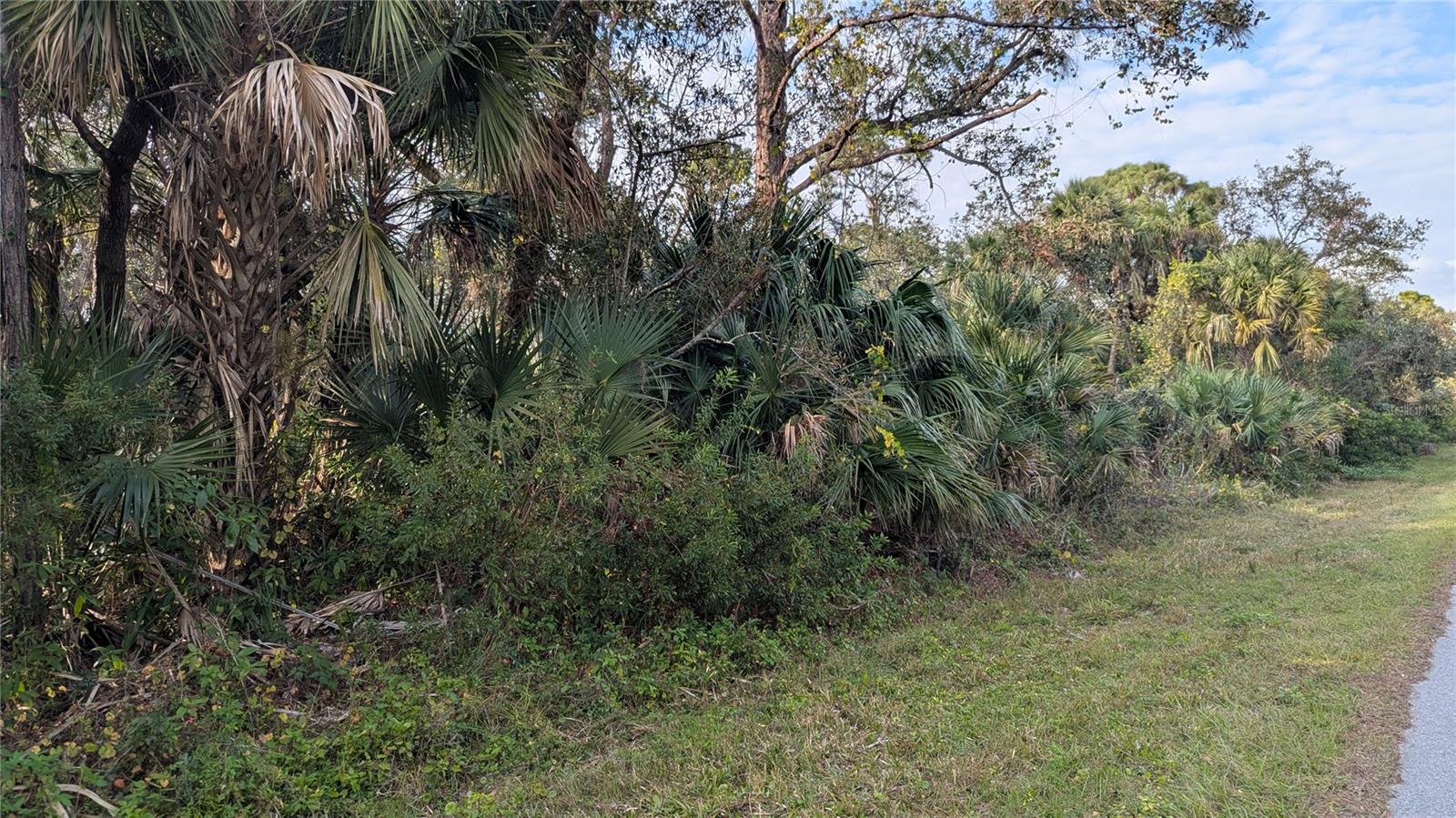 107 Juper St Property Photo 2