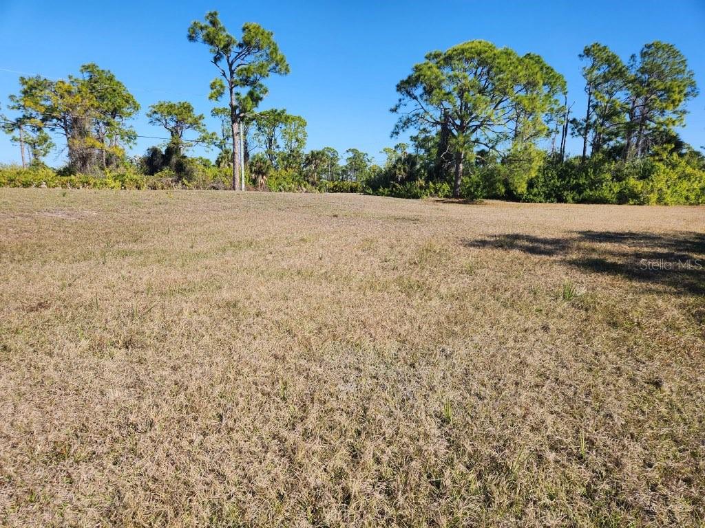155 Jade St Property Photo 5