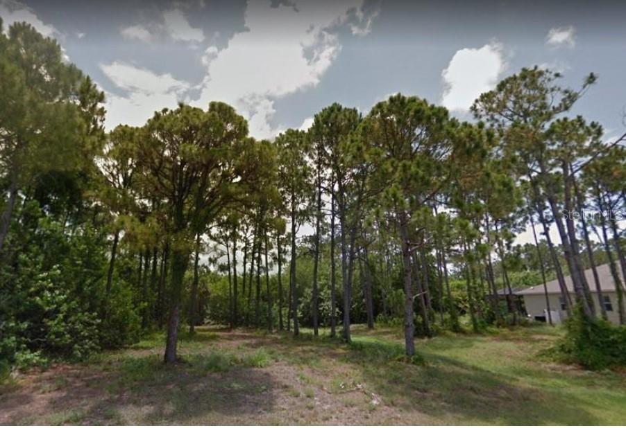 5 Pine Valley Pl Property Photo 5