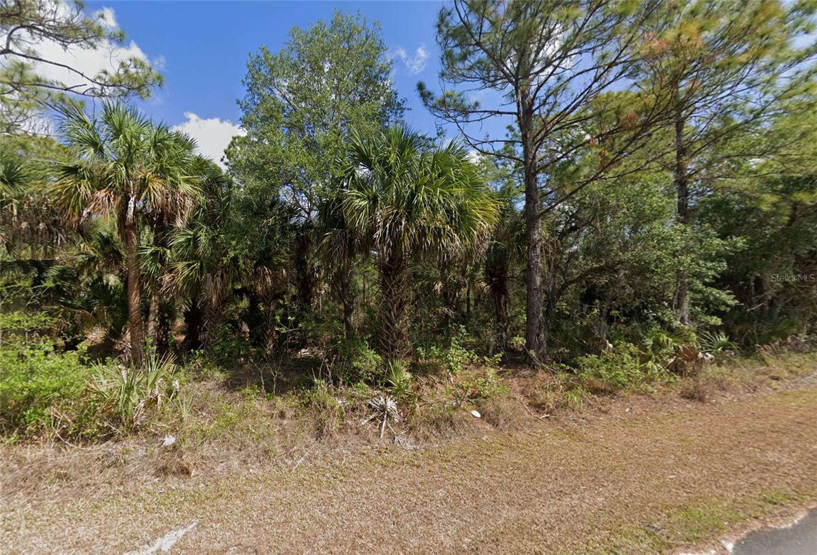 1415 Rambler Ter Property Photo 3
