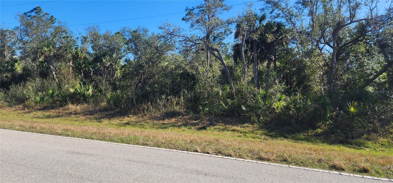 1173 Biscayne Dr Property Photo 4