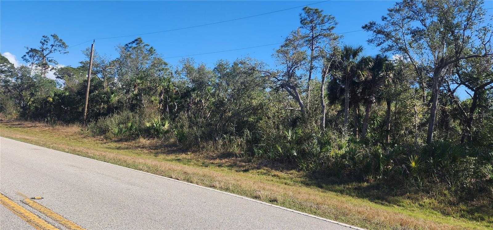 1173 Biscayne Dr Property Photo 9