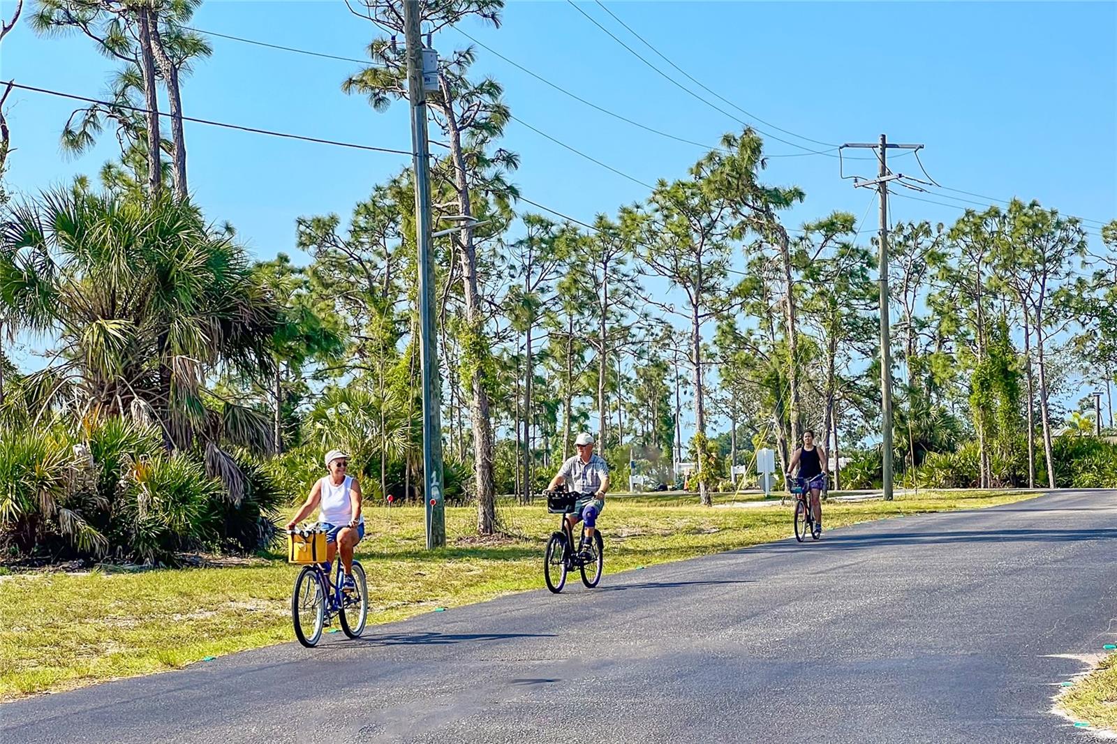 237 W Pine Valley Ln Property Photo 38