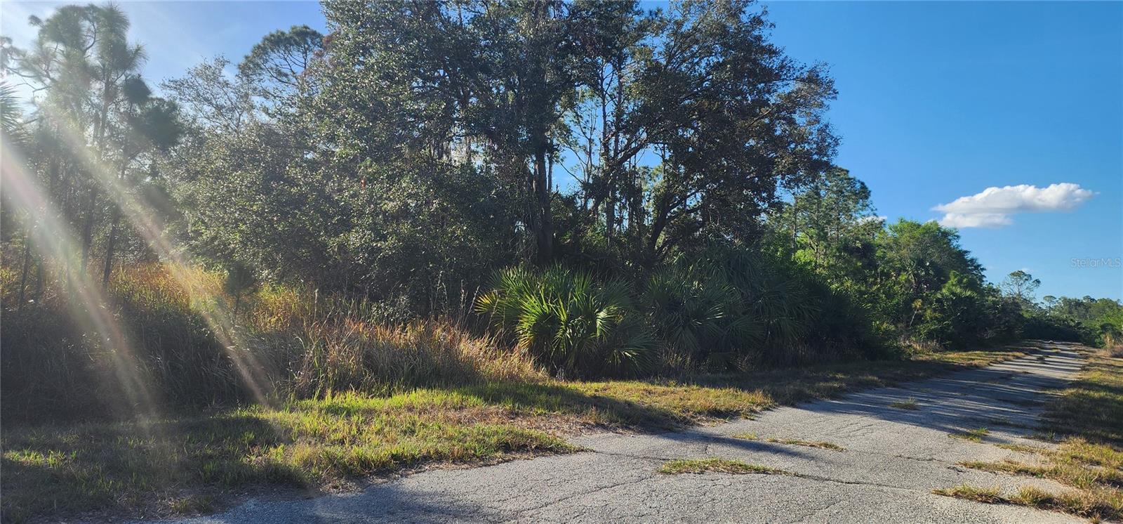 Ceriman Rd Property Photo 2