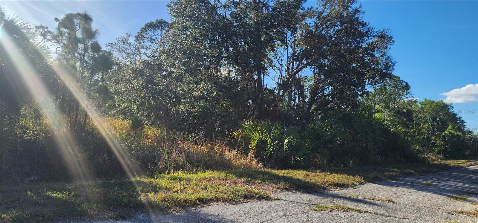 Ceriman Rd Property Photo 3