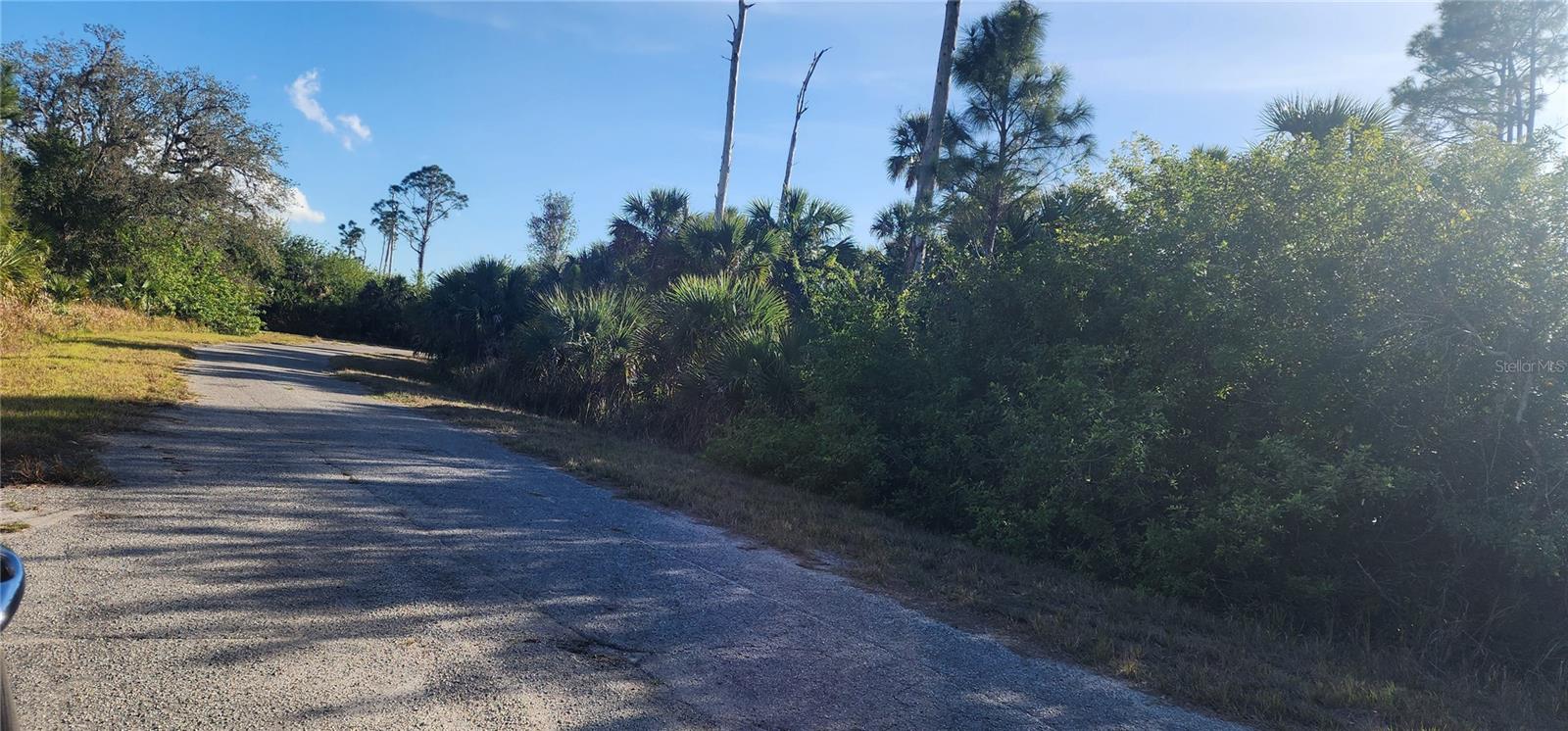 Ceriman Rd Property Photo 5