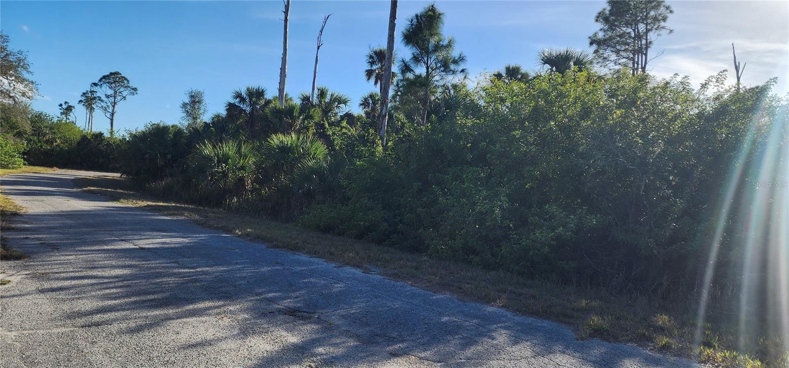 Ceriman Rd Property Photo 6