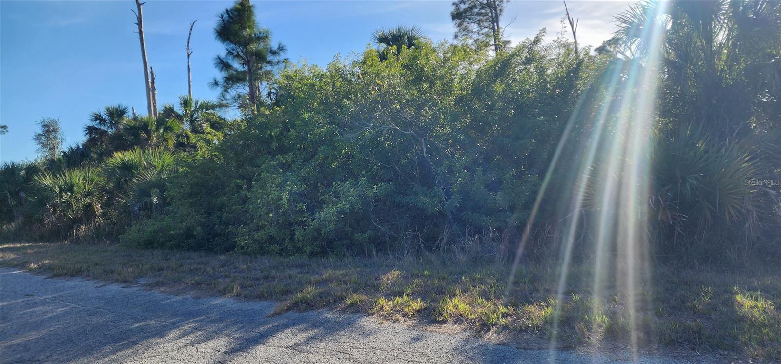 Ceriman Rd Property Photo 7