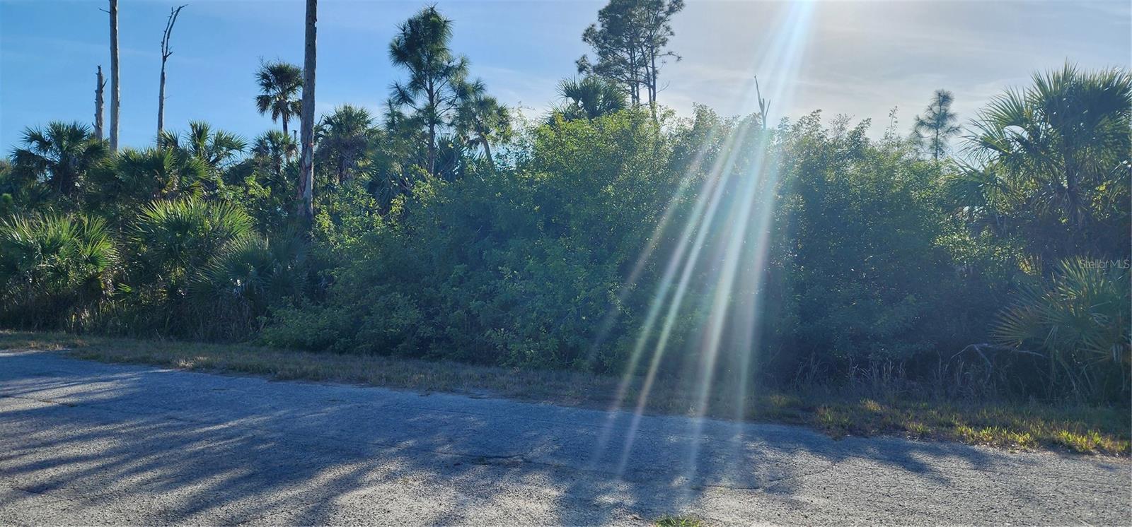 Ceriman Rd Property Photo 8