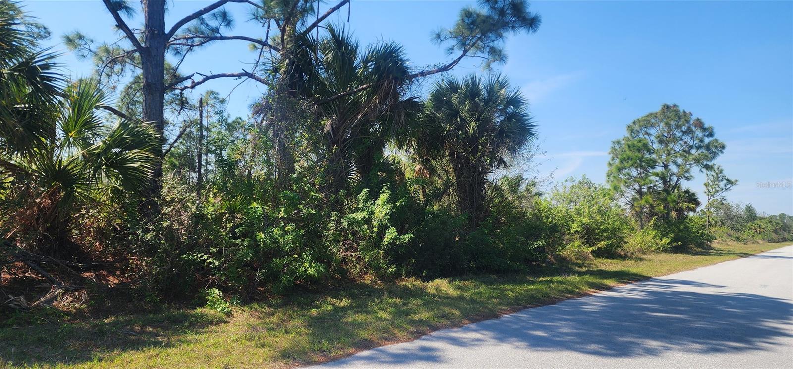 2157 Saipan Ln Property Photo 6