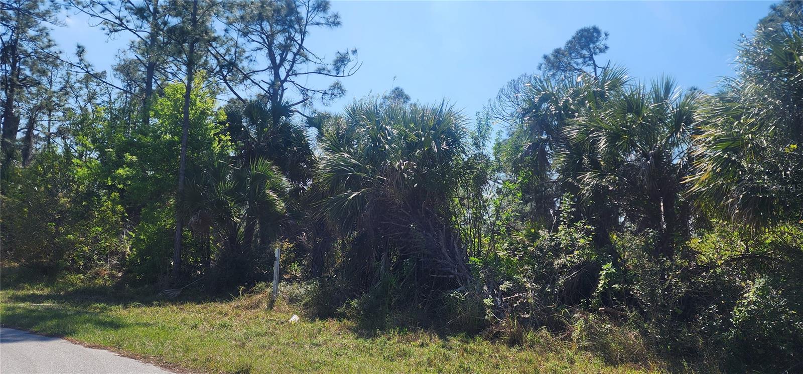 2157 Saipan Ln Property Photo 8