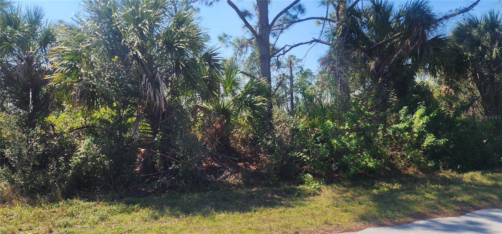2157 Saipan Ln Property Photo 9